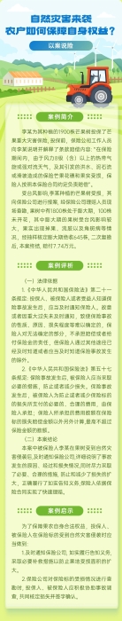 自然災(zāi)害來(lái)襲，農(nóng)戶如何保障自身權(quán)益？